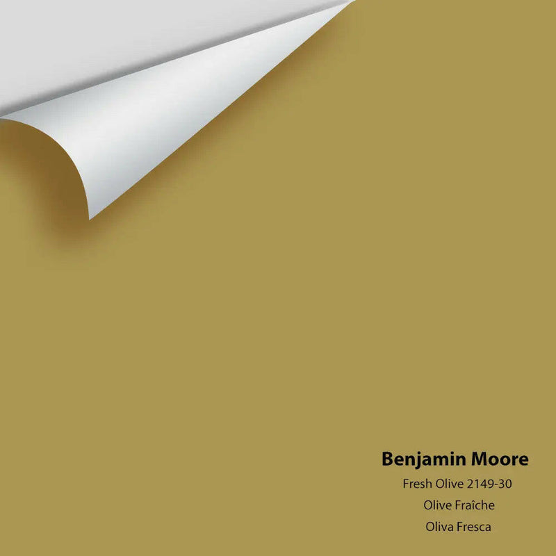 Big Paint Chip - Fresh Olive 2149-30
