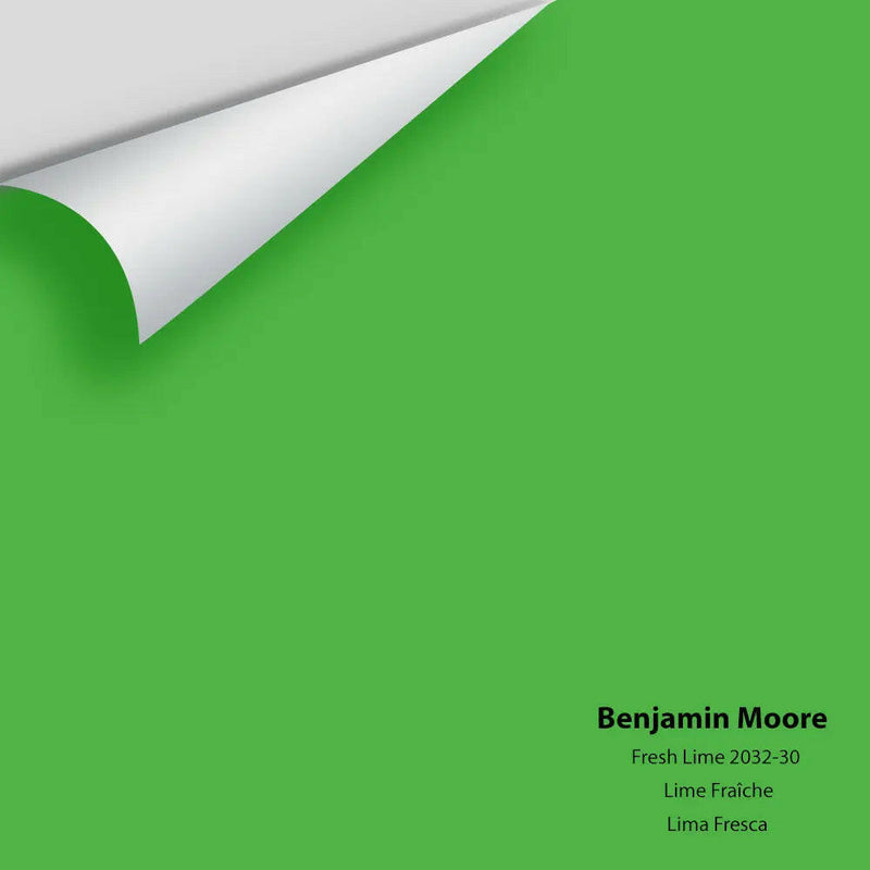 Big Paint Chip - Fresh Lime 2032-30