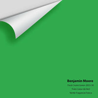 Big Paint Chip - Fresh Scent Green 2033-30