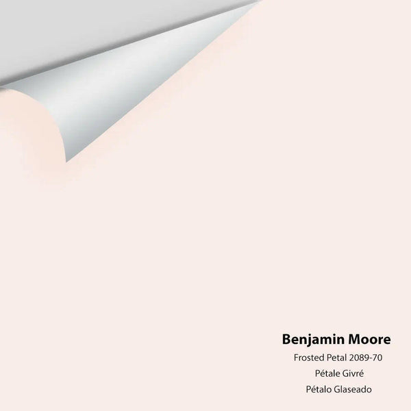 Big Paint Chip - Frosted Petal 2089-70