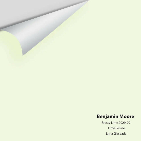 Big Paint Chip - Frosty Lime 2029-70