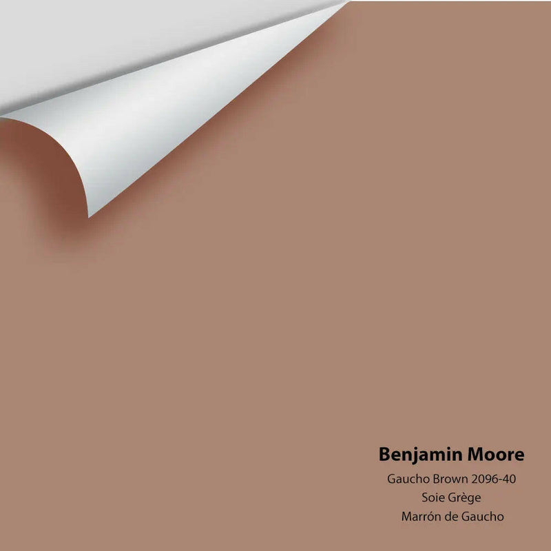 Big Paint Chip - Gaucho Brown 2096-40