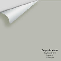 Big Paint Chip - Gray Horse 2140-50