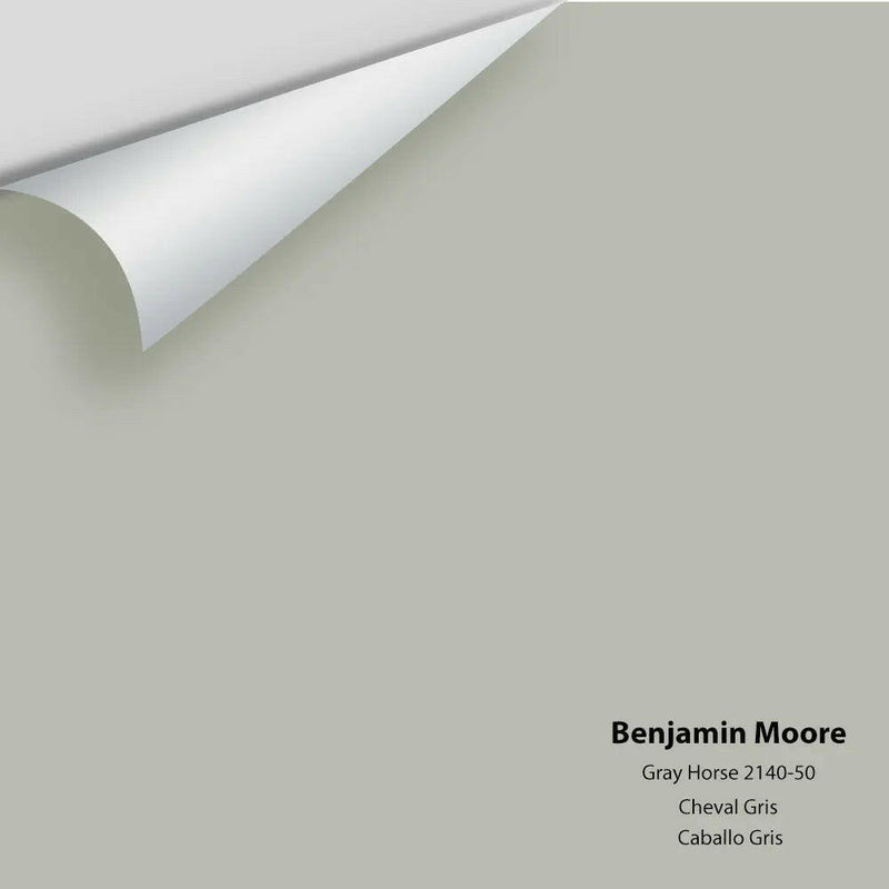 Big Paint Chip - Gray Horse 2140-50