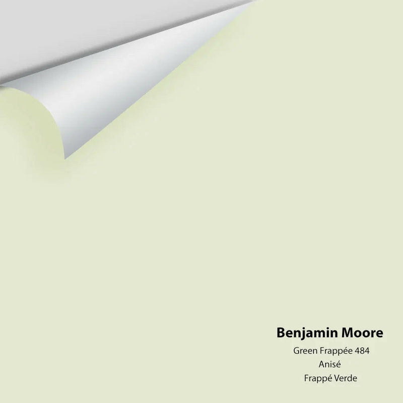 Big Paint Chip - Green Frappé 484
