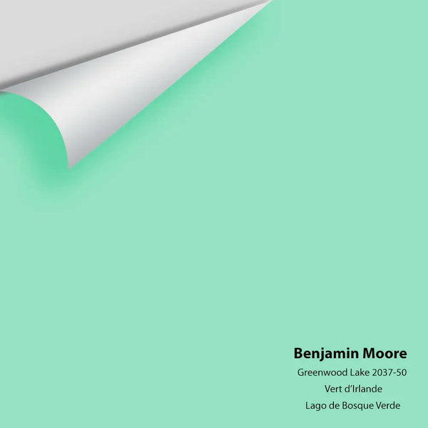 Big Paint Chip - Greenwood Lake 2037-50