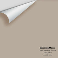 Benjamin Moore - Grége Avenue 991 Colour Sample