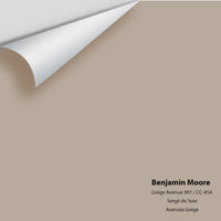 Benjamin Moore - Grége Avenue 991 Colour Sample