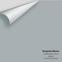 Benjamin Moore - Gull Wing Gray 2134-50 Colour Sample