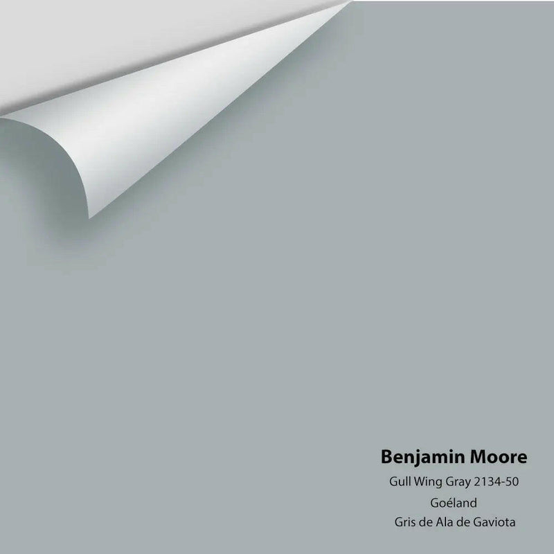 Benjamin Moore - Gull Wing Gray 2134-50 Colour Sample