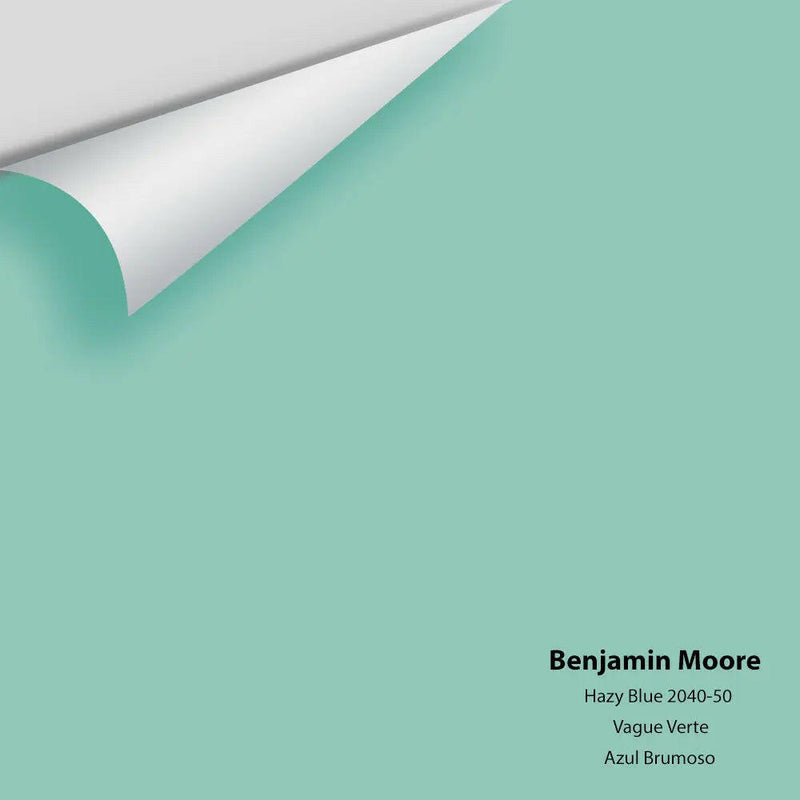 Big Paint Chip - Hazy Blue 2040-50