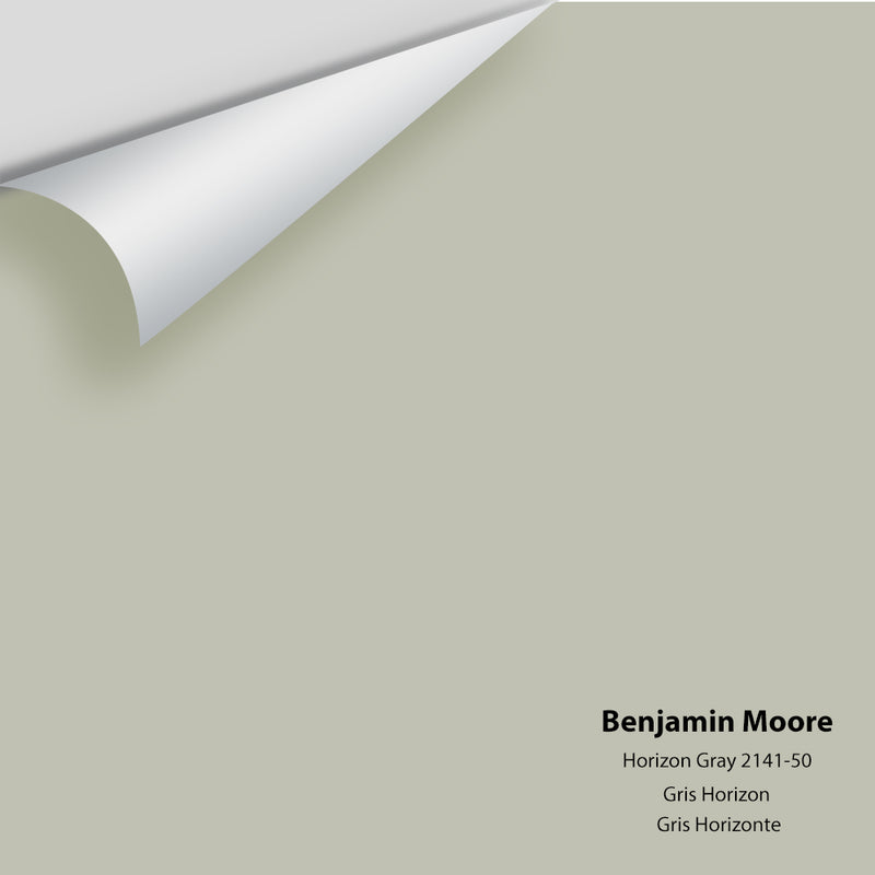 Benjamin Moore - Horizon Gray 2141-50 Colour Sample