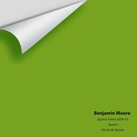 Big Paint Chip - Iguana Green 2028-10