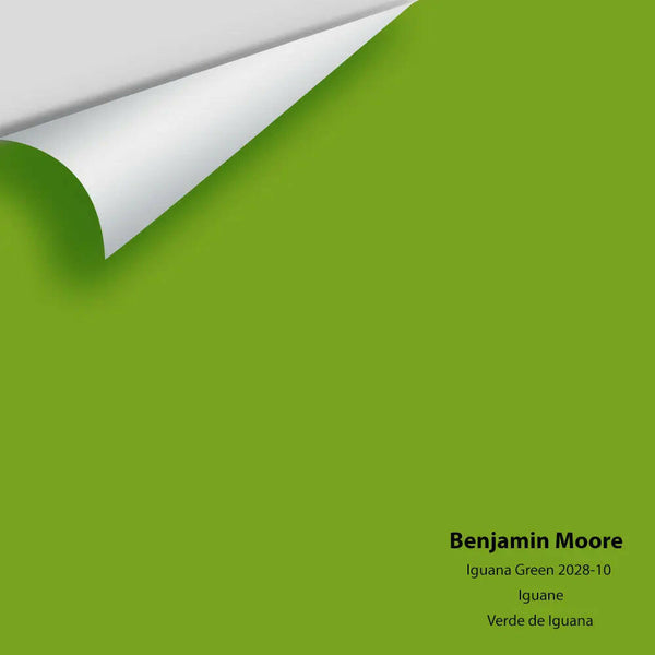 Big Paint Chip - Iguana Green 2028-10