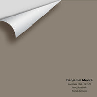 Benjamin Moore - Iron Gate 1545 Colour Sample