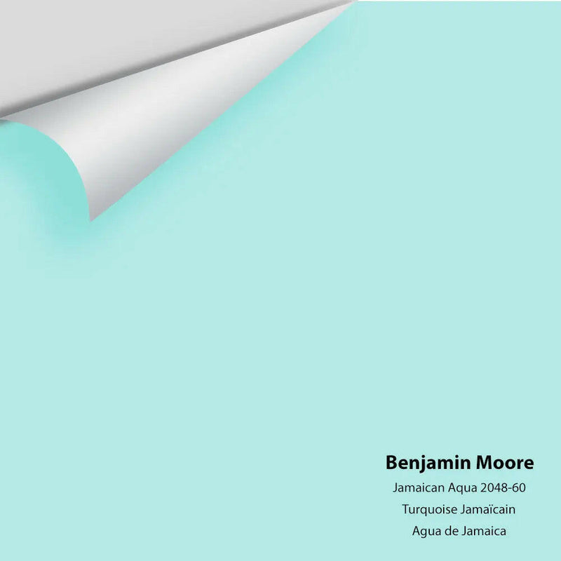 Benjamin Moore - Jamaican Aqua 2048-60 Colour Sample