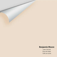 Big Paint Chip - Latte 2163-60