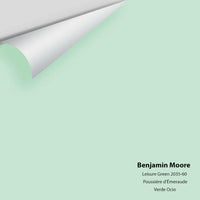 Big Paint Chip - Leisure Green 2035-60