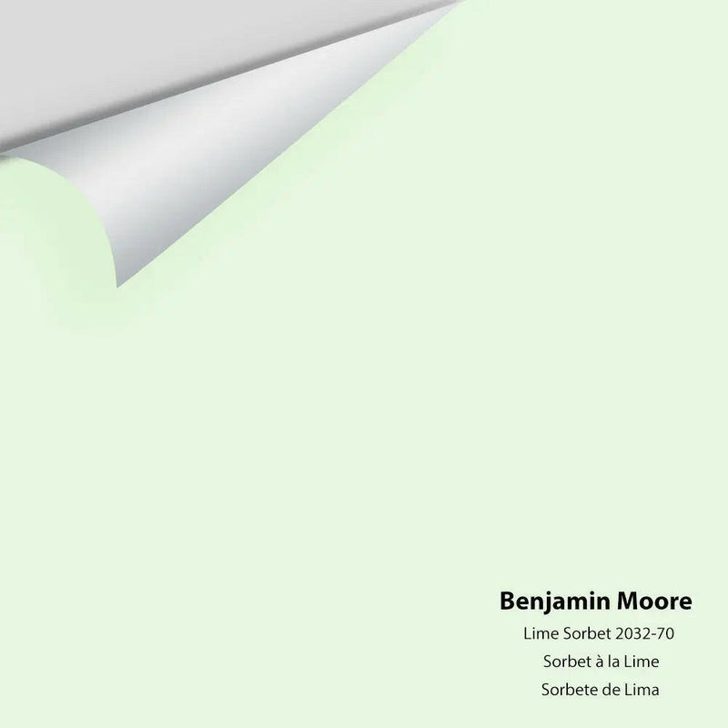 Big Paint Chip - Lime Sorbet 2032-70
