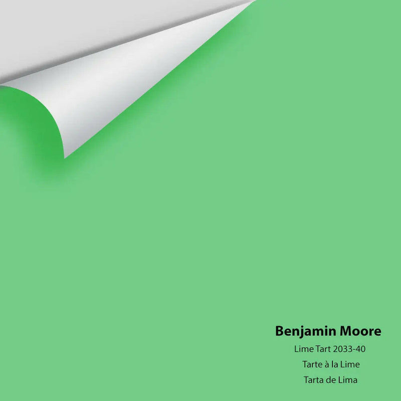 Big Paint Chip - Lime Tart 2033-40