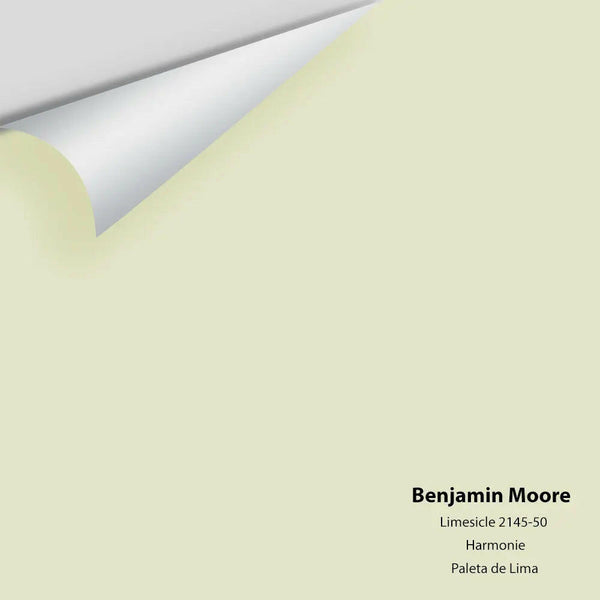 Big Paint Chip - Limesicle 2145-50