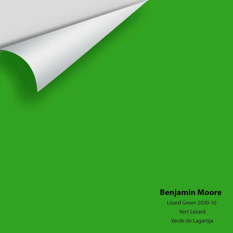 Big Paint Chip - Lizard Green 2030-10