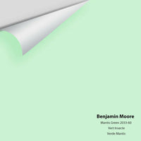 Big Paint Chip - Mantis Green 2033-60
