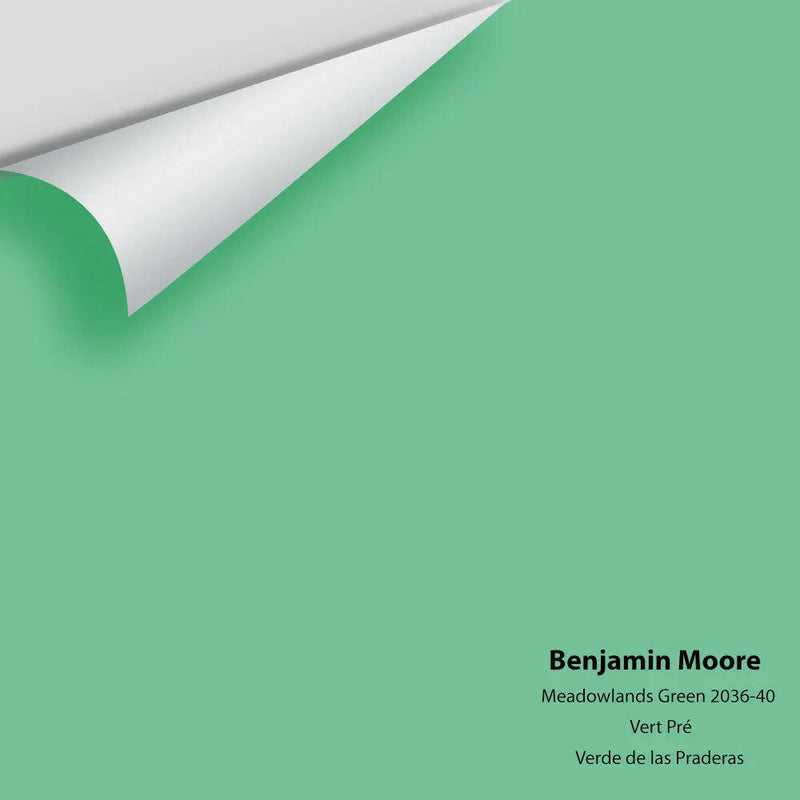 Big Paint Chip - Meadowlands Green 2036-40