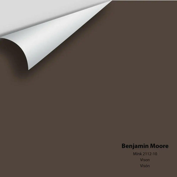Big Paint Chip - Mink 2112-10
