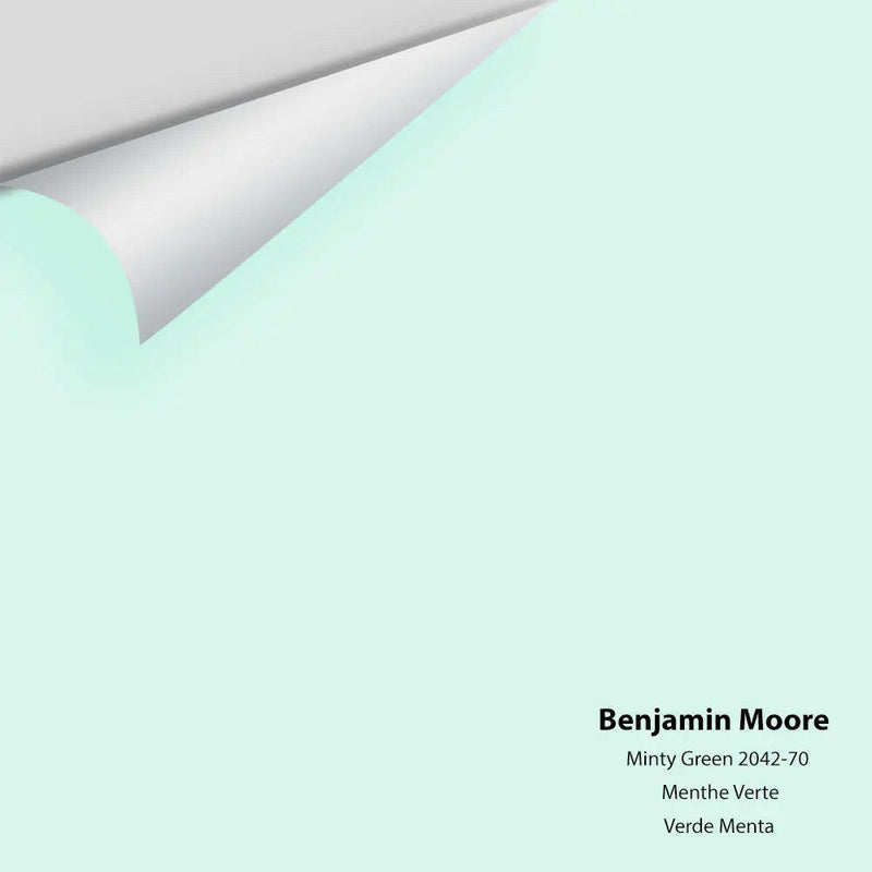 Big Paint Chip - Minty Green 2042-70