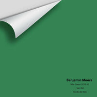 Big Paint Chip - Nile Green 2035-30