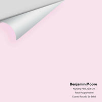 Big Paint Chip - Nursery Pink 2076-70