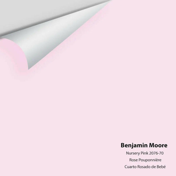 Big Paint Chip - Nursery Pink 2076-70