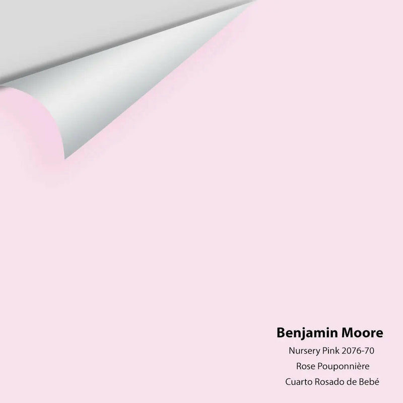 Big Paint Chip - Nursery Pink 2076-70