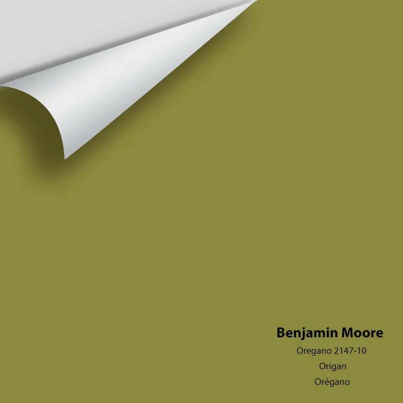 Big Paint Chip - Oregano 2147-10
