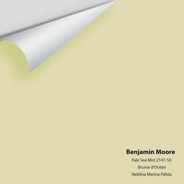 Big Paint Chip - Pale Sea Mist 2147-50