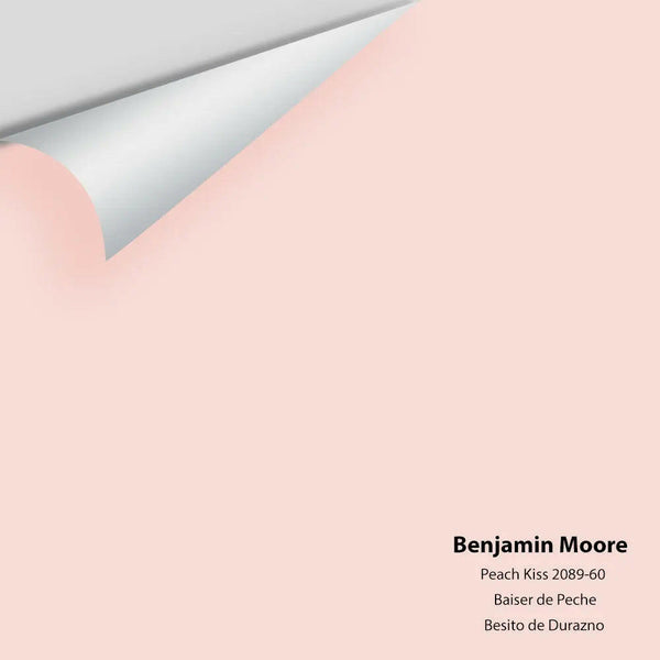 Big Paint Chip - Peach Kiss 2089-60