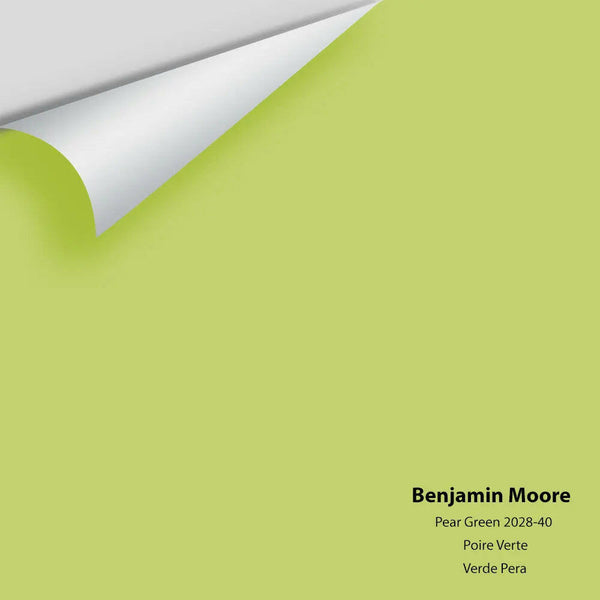 Big Paint Chip - Pear Green 2028-40
