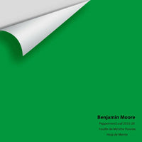 Big Paint Chip - Peppermint Leaf 2033-20 Colour Sample