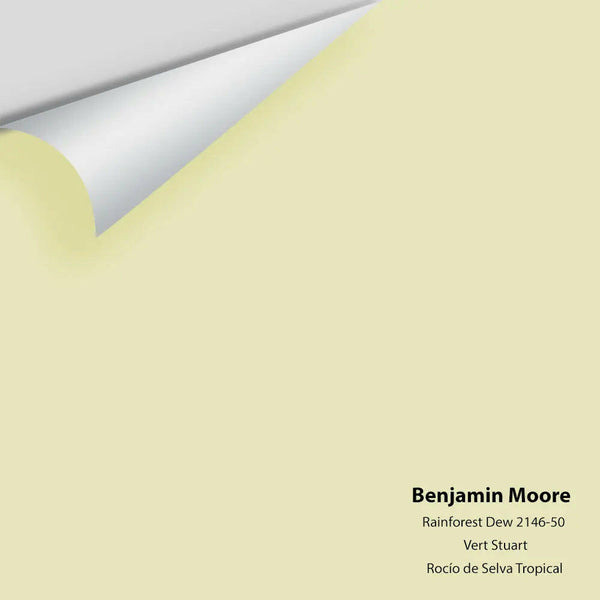 Big Paint Chip - Rainforest Dew 2146-50
