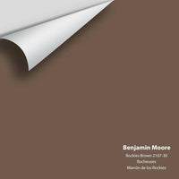 Big Paint Chip - Rockies Brown 2107-30
