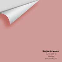 Big Paint Chip - Rosy Tan 2091-50