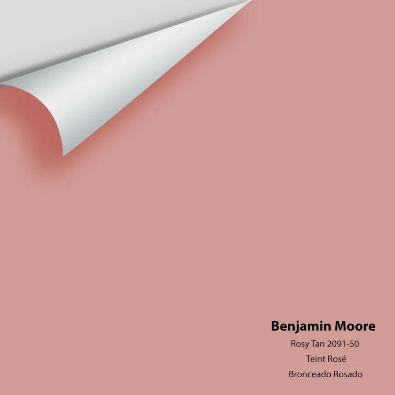 Big Paint Chip - Rosy Tan 2091-50