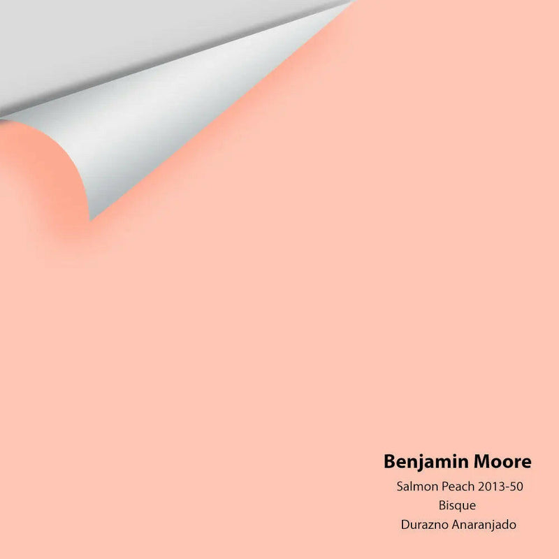Big Paint Chip - Salmon Peach 2013-50