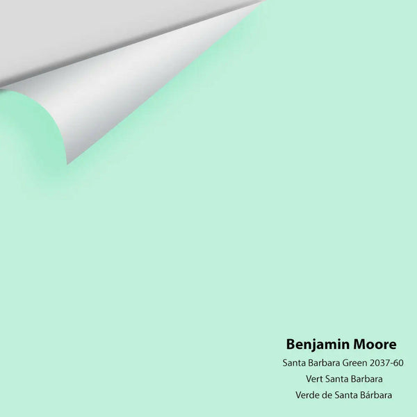 Big Paint Chip - Santa Barbara Green 2037-60