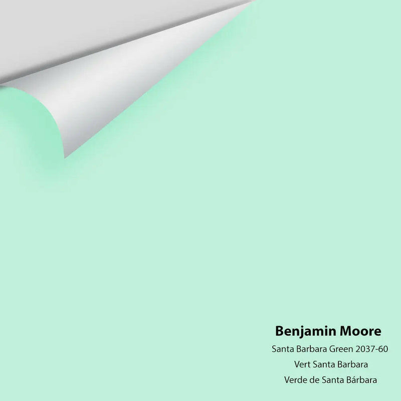 Big Paint Chip - Santa Barbara Green 2037-60