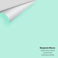 Big Paint Chip - Seafoam Green 2039-60