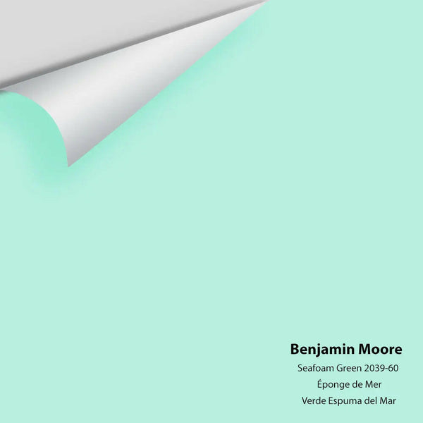 Big Paint Chip - Seafoam Green 2039-60