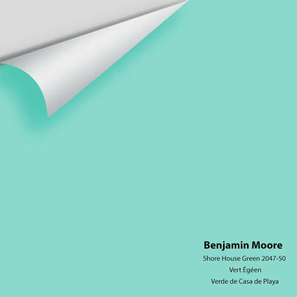 Big Paint Chip - Shore House Green 2047-50