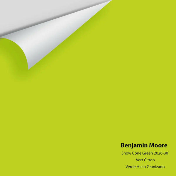 Big Paint Chip - Snow Cone Green 2026-30